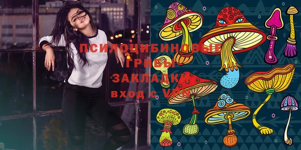 альфа пвп Коряжма