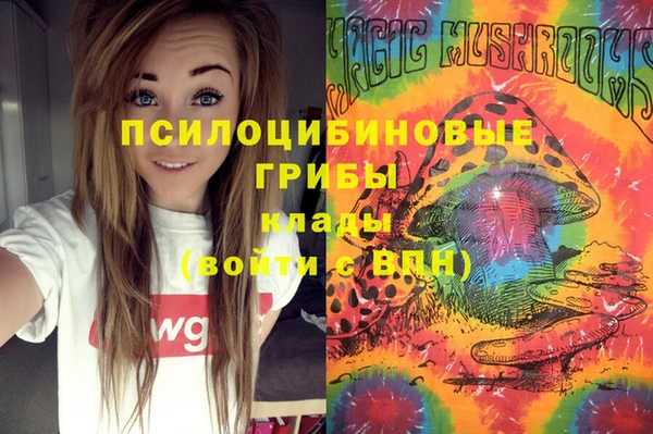 альфа пвп Коряжма