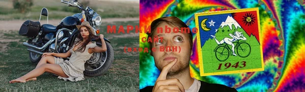гашик Кинешма
