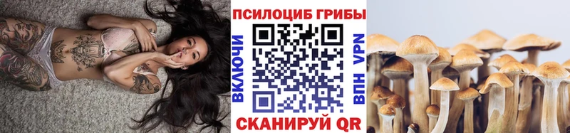 Галлюциногенные грибы Cubensis  как найти наркотики  ОМГ ОМГ ТОР  Верхоянск 